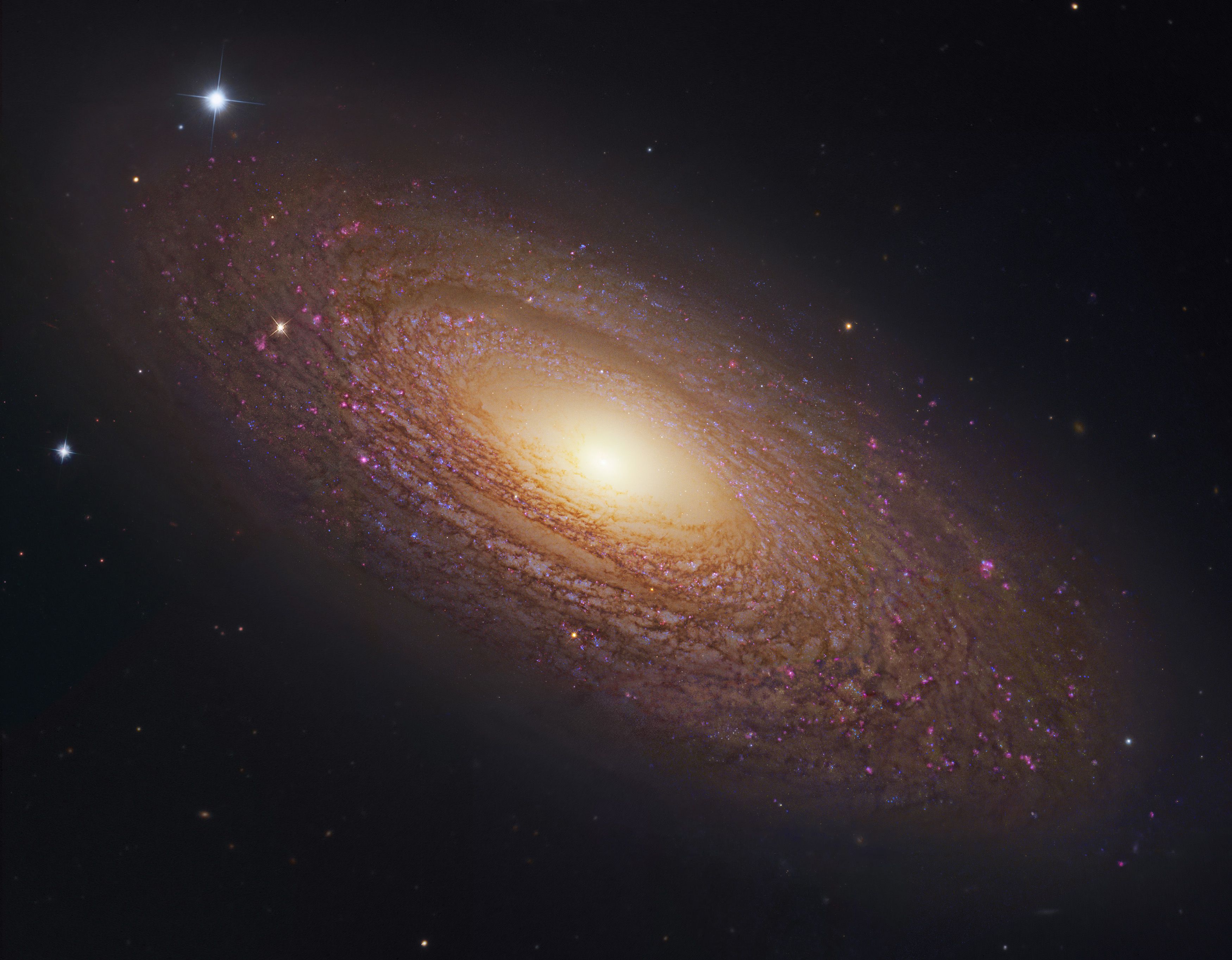  Massive Nearby Spiral Galaxy NGC 2841 