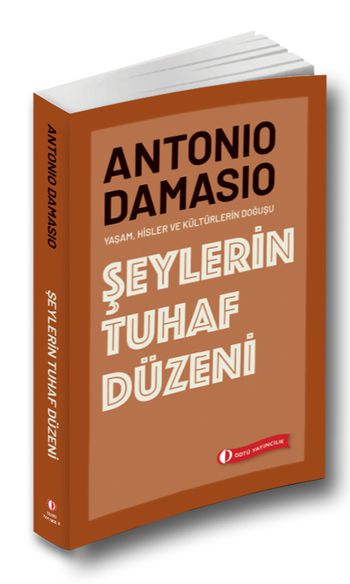 Şeylerin Tuhaf Düzeni