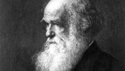 Darwin'in Kayıp Kütüphanesi Çevrimiçi Olarak Ziyarete Açıldı!