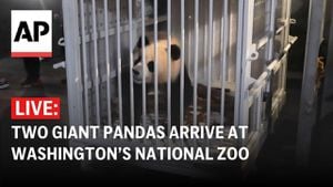 Giant Pandas Return Home To National Zoo