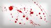 Domuzlar Üzerinde "Dexter" Deneyleri: Kurşun Giriş Noktasında Kan Nasıl Sıçrıyor?