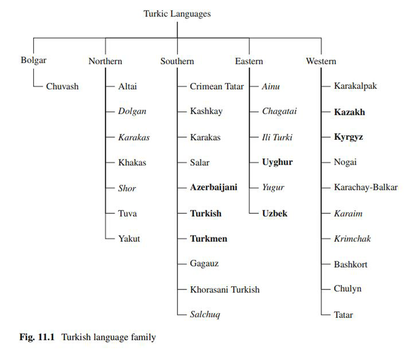 Тюркский язык происхождение. Тюркских языков. Дерево тюркских языков. Схема тюркских языков. Тюркские языки дерево.