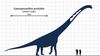 Dinozorlar Neden O Kadar Büyüktü? Akıl Almaz Boyutlara Nasıl Erişebildiler ve Neden Şu Anda Bu Kadar Büyük Hayvanlar Yaşamıyor?