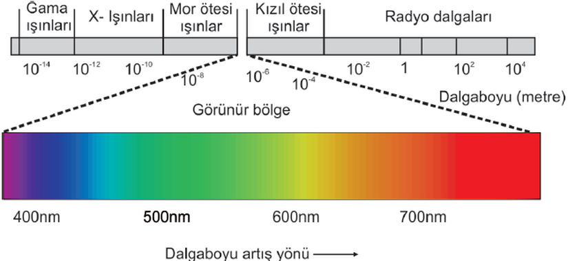EM spektrumun görünür bölge bölümü.