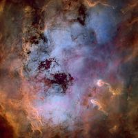  The Tadpole Nebula in Gas and Dust 