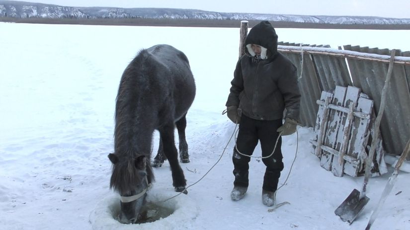 Yakutlar'ın soğuk ve sert kışta hayat mücadelesi.