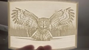 Can 3D-Printed Lithophanes Revolutionize Accessibility In Science?