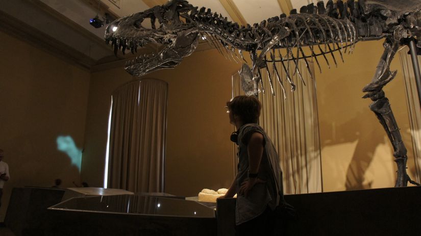 Berlin Tabiat Tarihi Müzesi'nden Tyrannosaurus rex iskeleti
