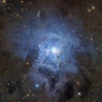 NGC 7023: İris Bulutsusu