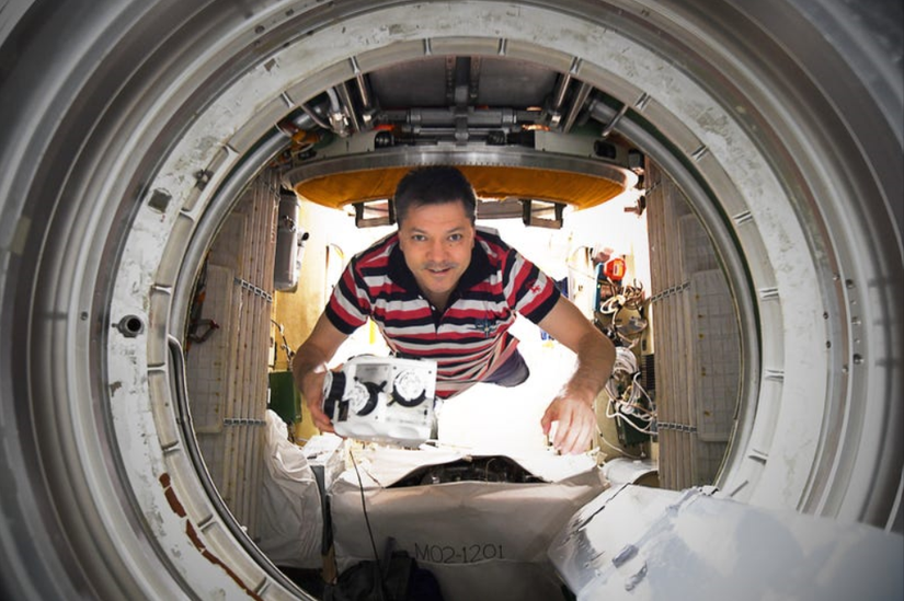 Kozmonot Oleg Kononenko, 3D bioyazıcının ilk denemelerinde (2018)