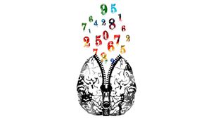 Beyin ve Sayılar: En Karmaşık Yapılardan Biri Olan Beyni Sayılarla Tanıyın!