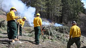 Iowa Offers Exciting Forestry Events This Fall