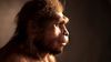 Homo Erectus, Afrika'dan Diğer Kıtalara Neden Göç Etti?