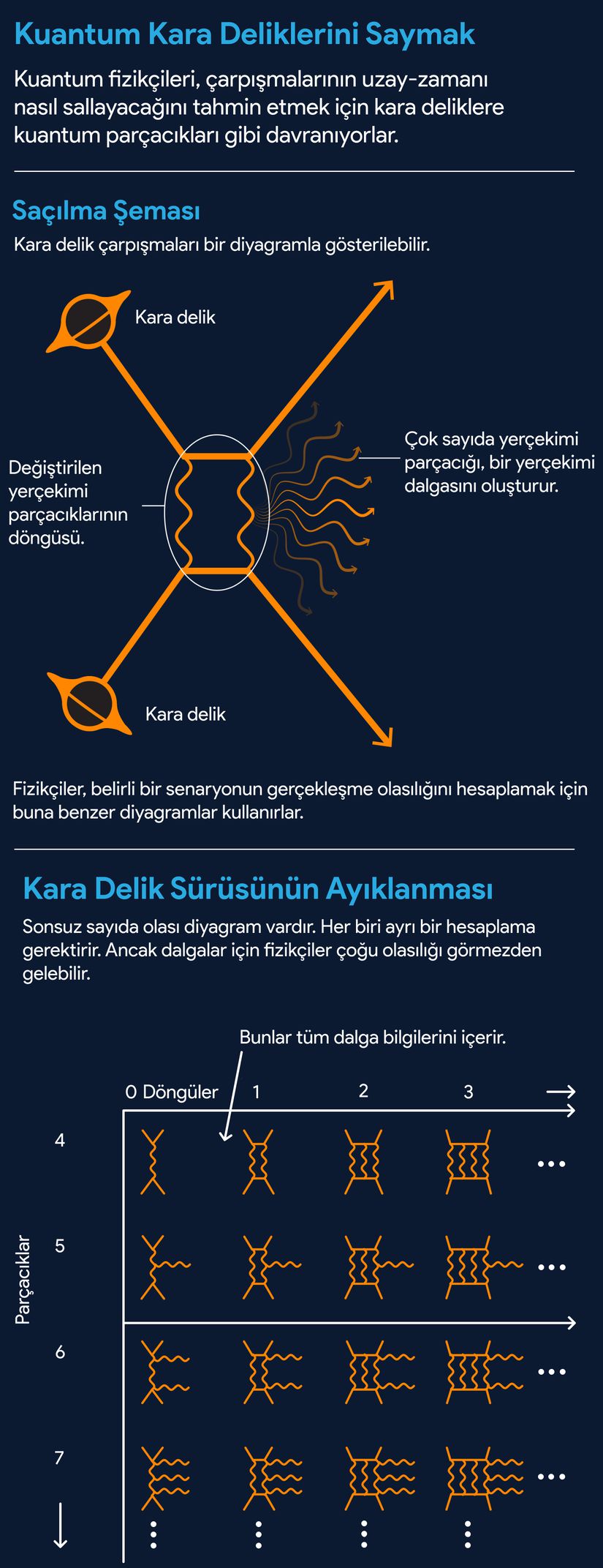 Kuantum kara deliklerinin nasıl sayıldığının infografisi. Çeviri: Ali Ahmet Turunç