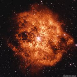  Wolf-Rayet Star 124: Stellar Wind Machine 