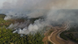 Amazon'daki Kuraklığın Sebebi İklim Değişikliği