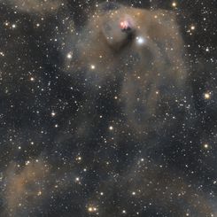  T Tauri and Hind's Variable Nebula 