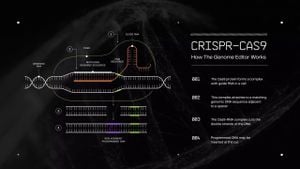 Synthetic Genomics: Writing The Next Chapter Of Evolution