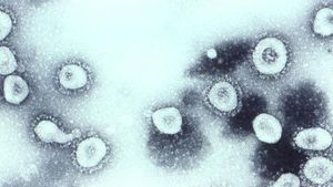 İnsan Koronavirüsü OC43 Nedir? Nasıl Bir Hastalığa Sebep Olur?