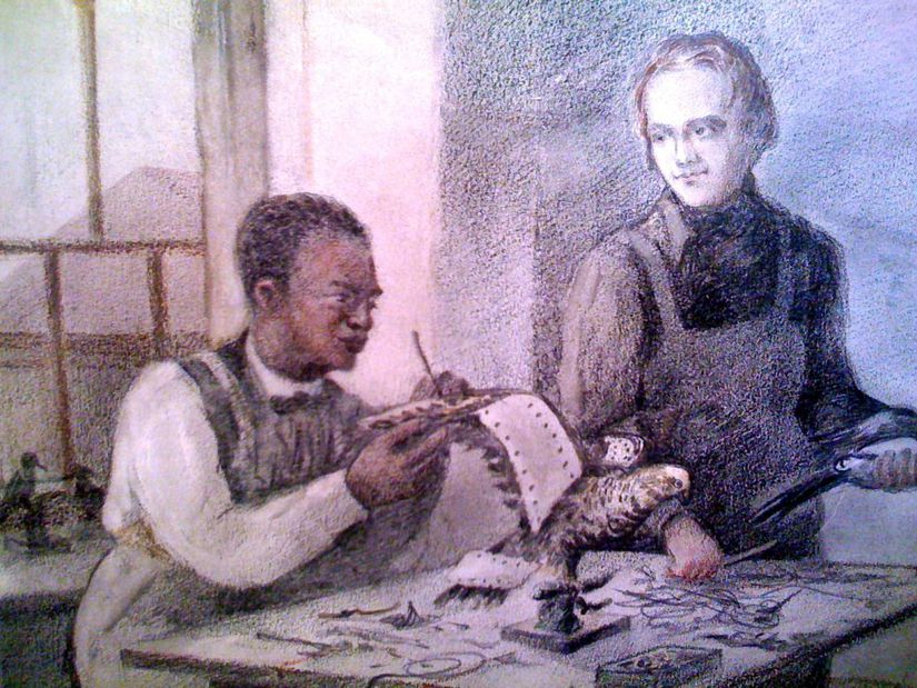 Darwin, Edinburgh'ta kendisiyle herhangi bir ilişkisi olmayan, Guyanalı siyah derili bir köleden taksidermi (hayvan doldurma) öğrenirken resmedilmiş...