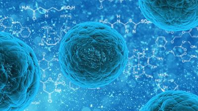 Bilim İnsanları, Canlılığı Başlatan İlk Hücrelerin, Hücre Zarını Bozan Yapıdaki İyonların Varlığında Nasıl Evrimleştiğini Çözdüler!