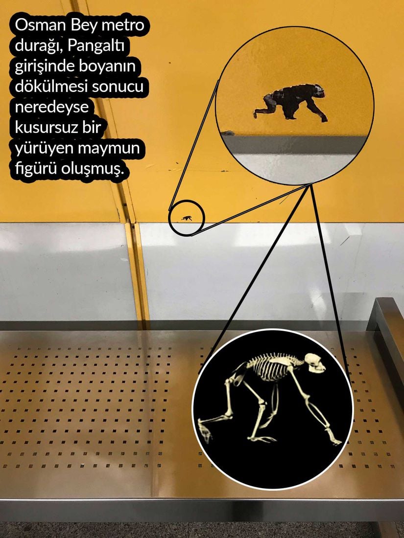 &quot;Bugün Osman Bey metro durağı Pangaltı girişinde, Taksim yönü metrosunun geçtiği yerde bu maymun figürünü gördüm. Bu figür boyanın dökülmesiyle oluşmuş.&quot;