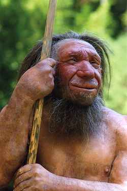 Neandertallerin nasıl göründüğünü nerden biliyoruz?