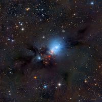  NGC 1333 Stardust 
