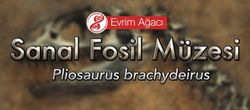 Pliosaurus brachydeirus (Denizdeki Ölüm Makinası)