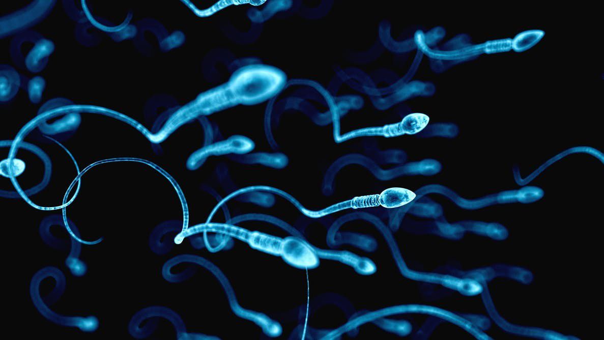 сперма много спермы видео много малолетки фото 84