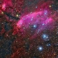  IC 4628: The Prawn Nebula 