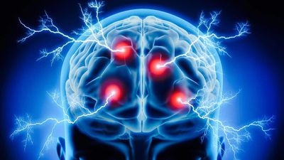 Beyin ve Güç: Beynimizin Güç Tüketimi 20 Wattlık Bir Ampül ile Aynıdır!