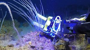 Can Bioinspired Robotics Unlock The Ocean's Mysteries?