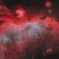  The Seagull Nebula 