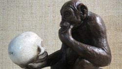 Evrimle İlgili 10 Mit, Yanlış Anlama ve Yanlış Anlatım