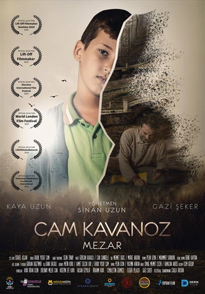 Cam Kavanoz