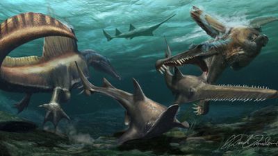 Spinosaurus Nedir? Bilinen İlk Sucul Dinozor Hakkında Neler Biliyoruz?