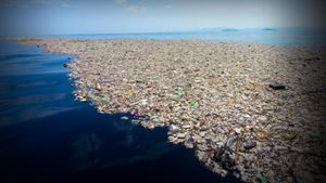 Can Enzymes and Microbes Offer a Solution to Plastic Waste?