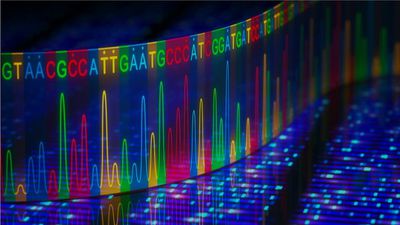 DNA Dizileme Yöntemleri: Genler Nasıl Dizilenir? Yeni Nesil DNA Sekanslama Yöntemleri Nelerdir?