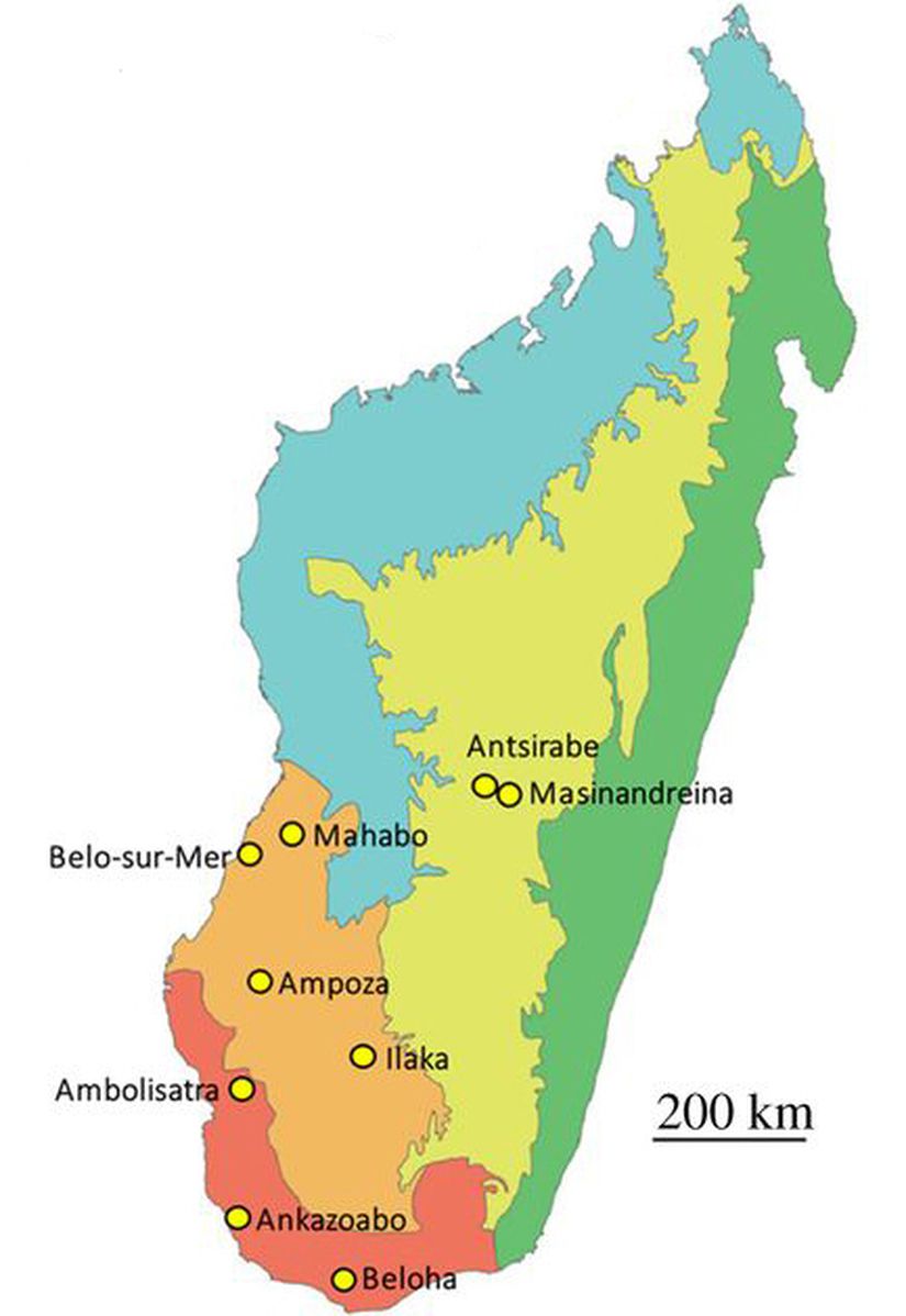 Madagaskar'da fosillerin bulunduğu bölgeler.