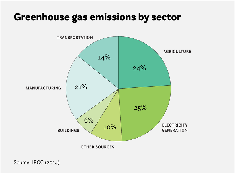 Sera gazına etki eden sektörlerin katkı dağılımı: Elektrik üretimi (%25), Tarım (%24), Sanayi Üretim (%21), Ulaşım ve Taşıma (%14), Binalar (%6), Diğer Kaynaklar (%10)
