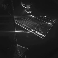  Rosetta's Selfie 