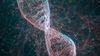 Yeni Bir Genom Kuramı: DNA, 