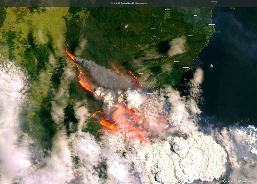 Yangının bir bölümünün uydu görüntüsü, Batemans Bay kasabası.