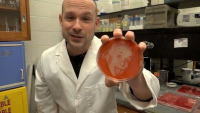 Bakteriyografi ve Mikrobiyoloji Sanatı: Bakterilerden Portreler Yapmak...