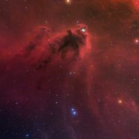  LDN 1622: Dark Nebula in Orion 