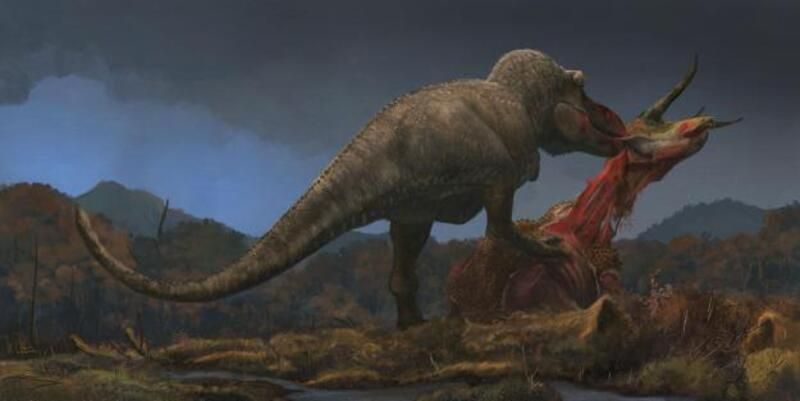 Bir Triceratops ile beslenen T. rex rekonstrüksiyonu.