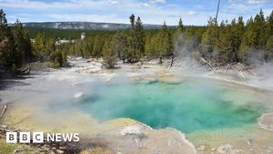 Woman Severely Injured After Breaking Trail Rules At Yellowstone