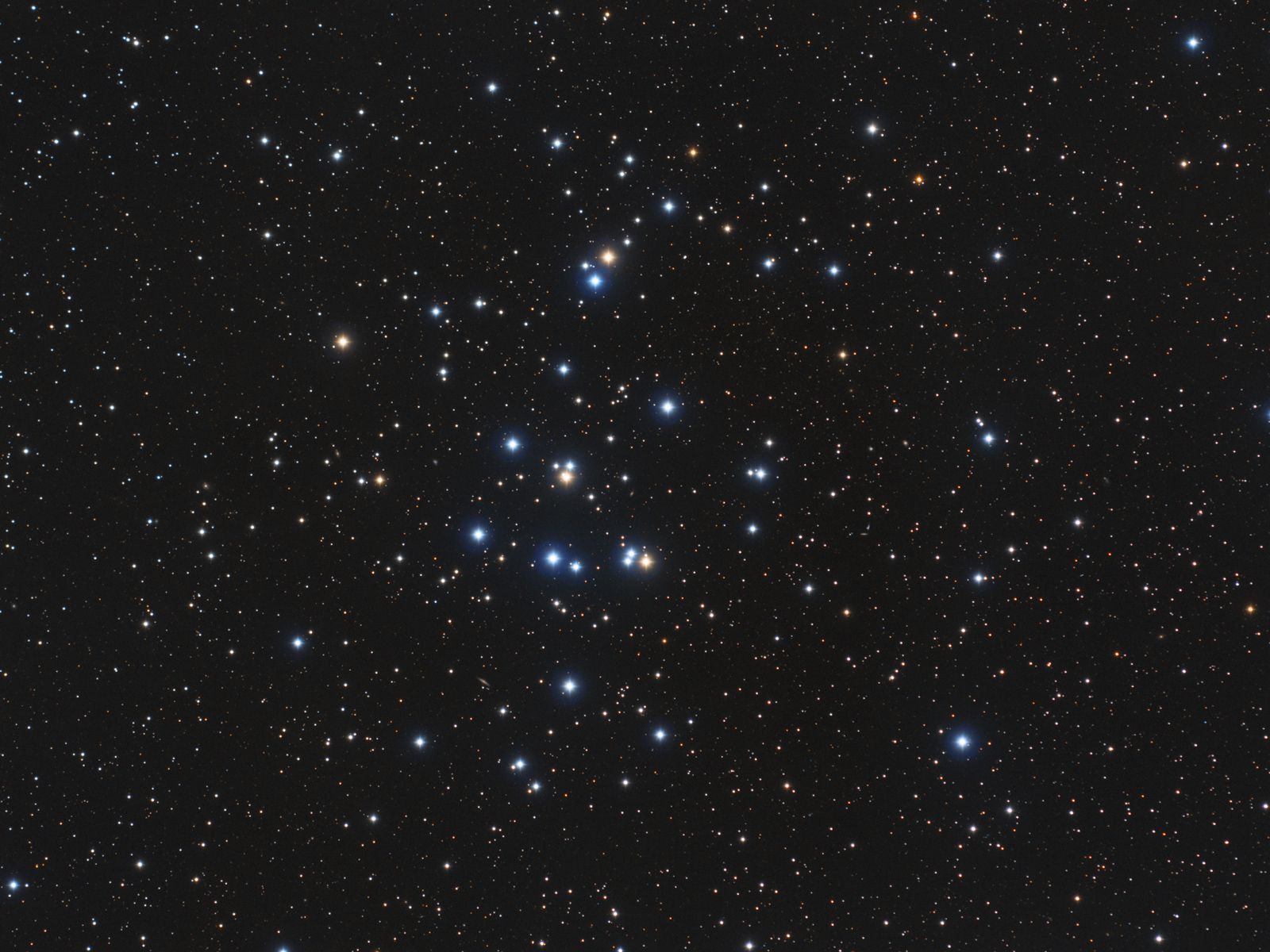  M44: The Beehive Cluster 