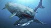 Livyatan (Leviathan) Nedir? Efsanevi Deniz Yaratığı Gerçek mi?